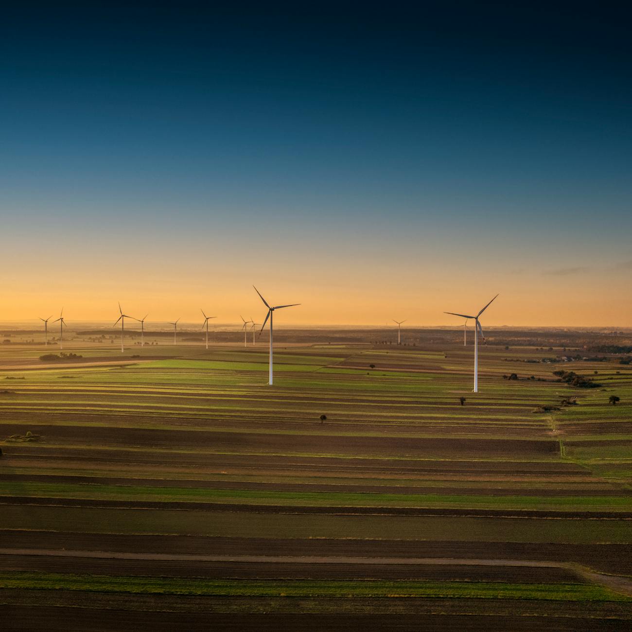 Energy Finance and Investment