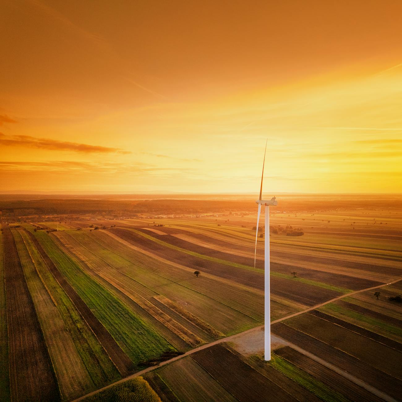 Energy Risk Management