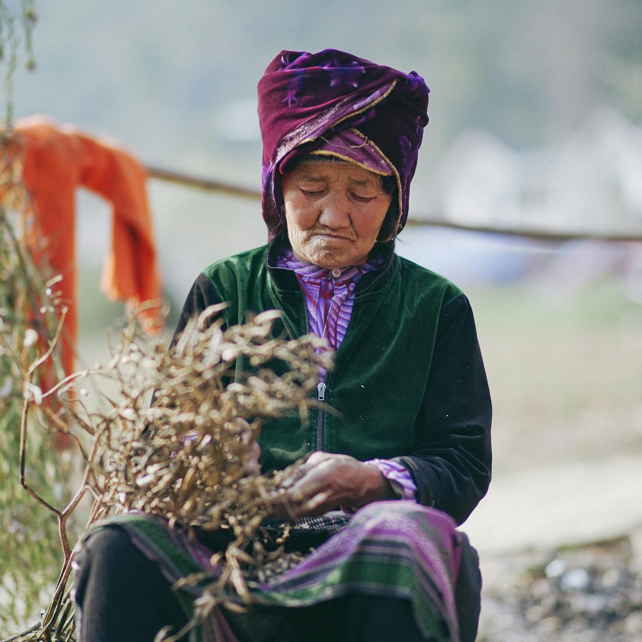 Traditional Ecological Knowledge