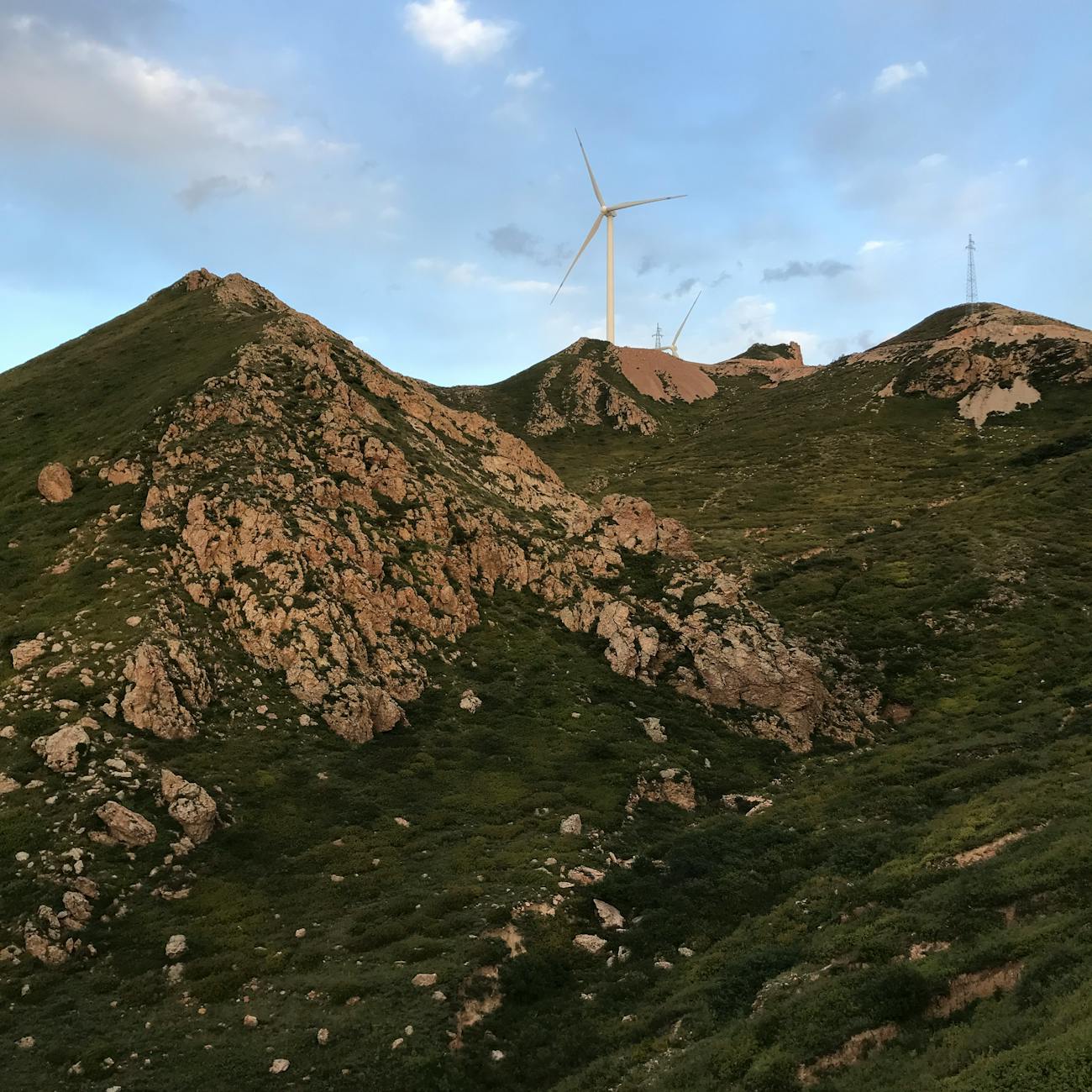 Policy Impact on Energy Storage Market