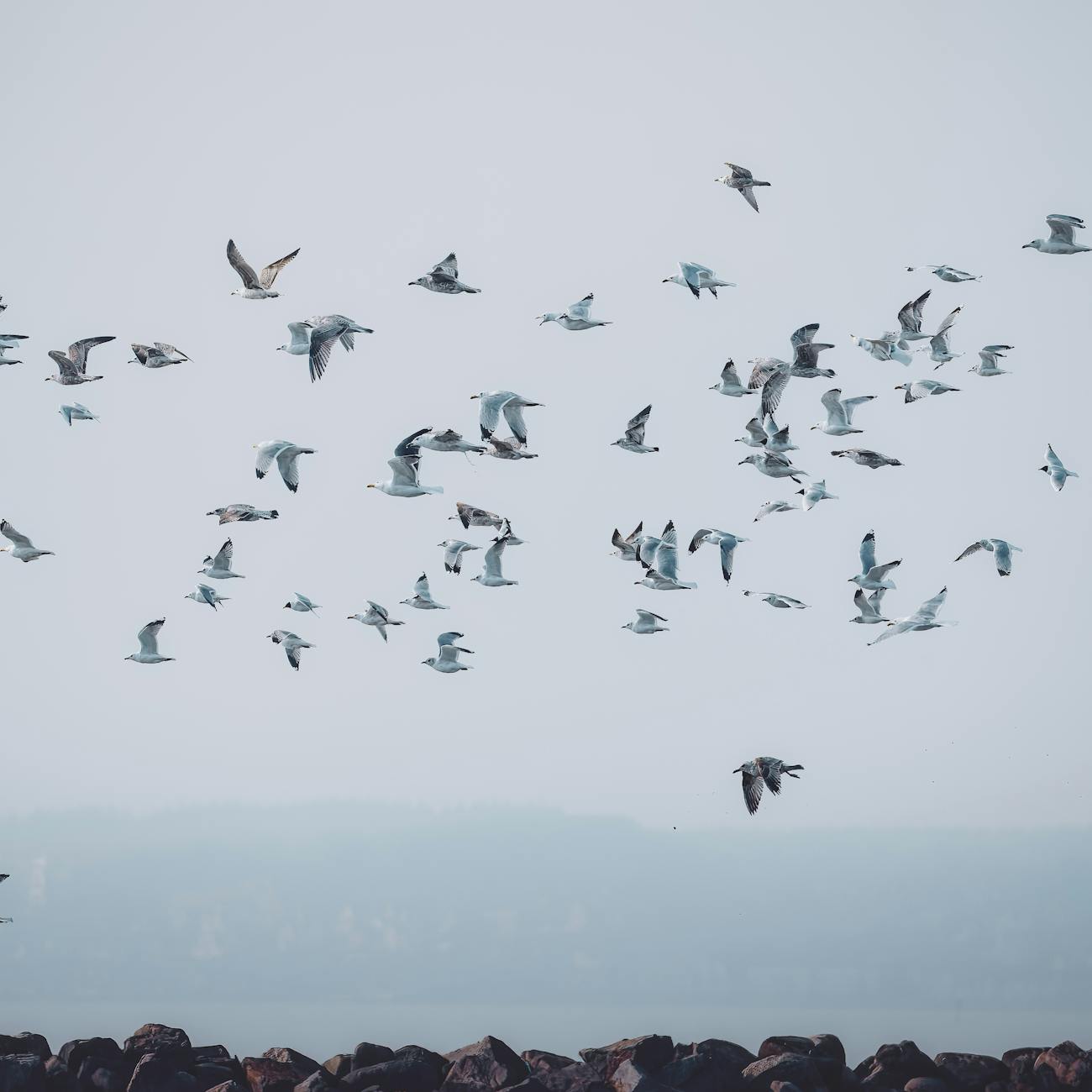Machine Learning in Artificial Intelligence