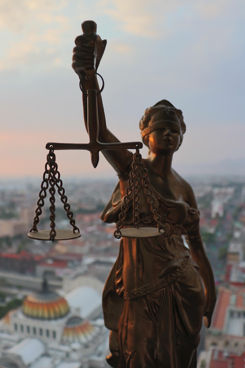Legal Rights and Responsibilities of Surrogates