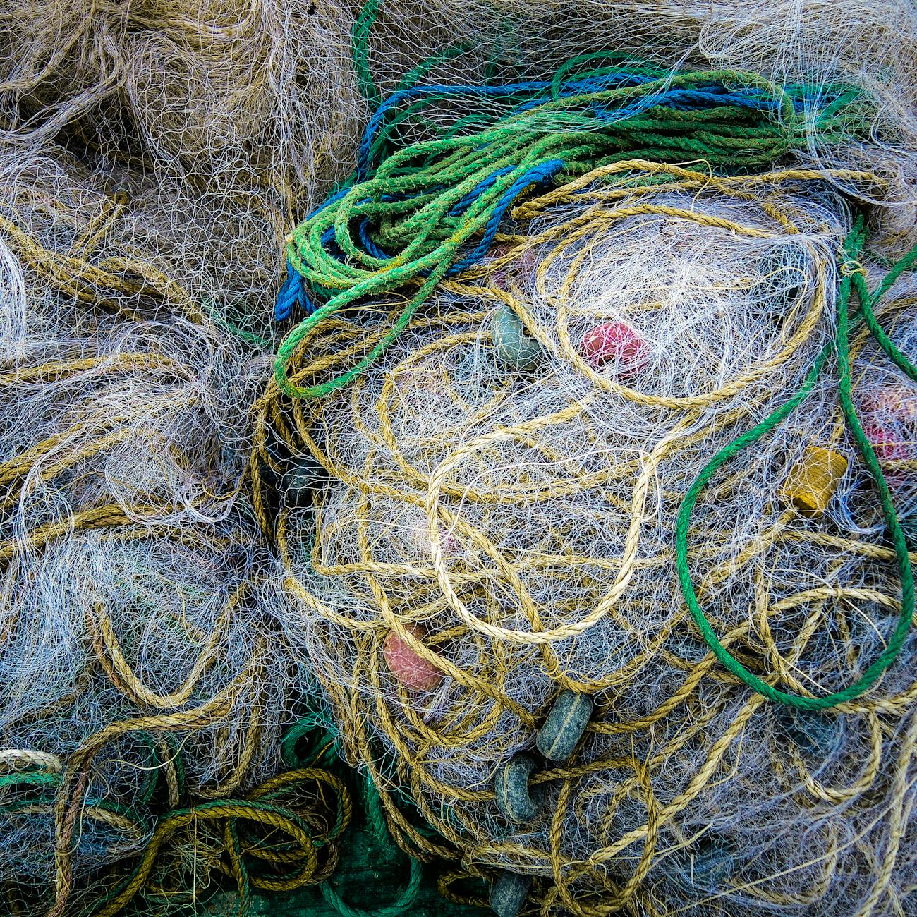 Circular Economy Principles