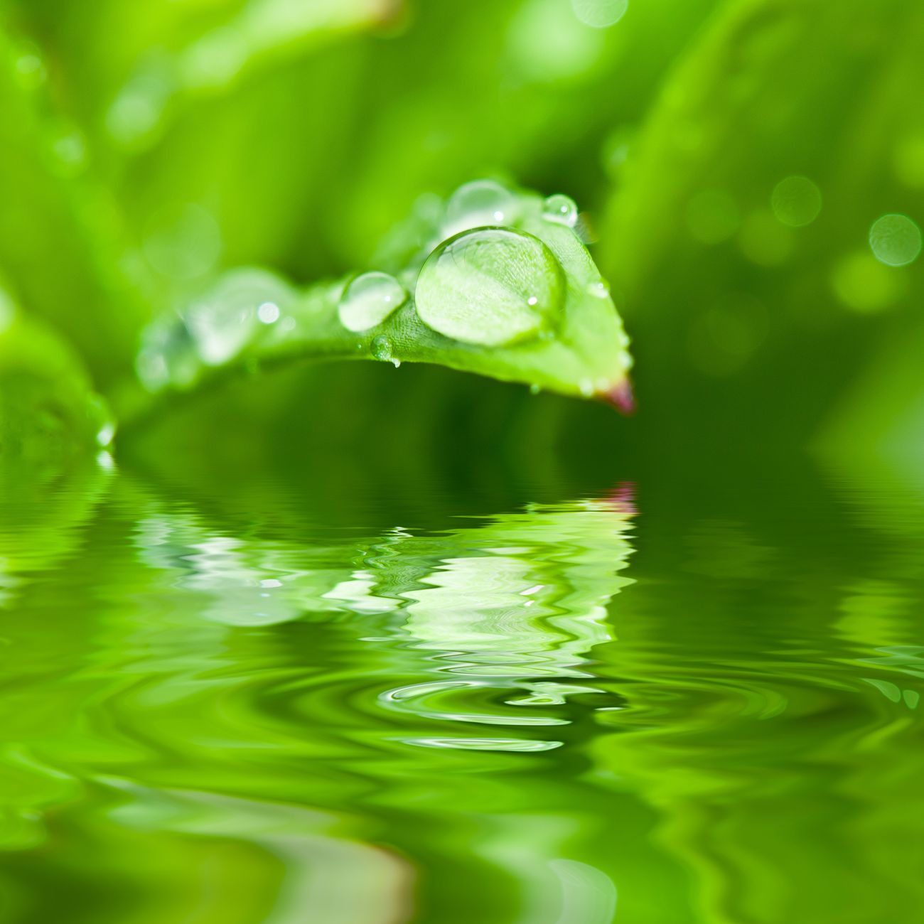 Water Conservation Strategies