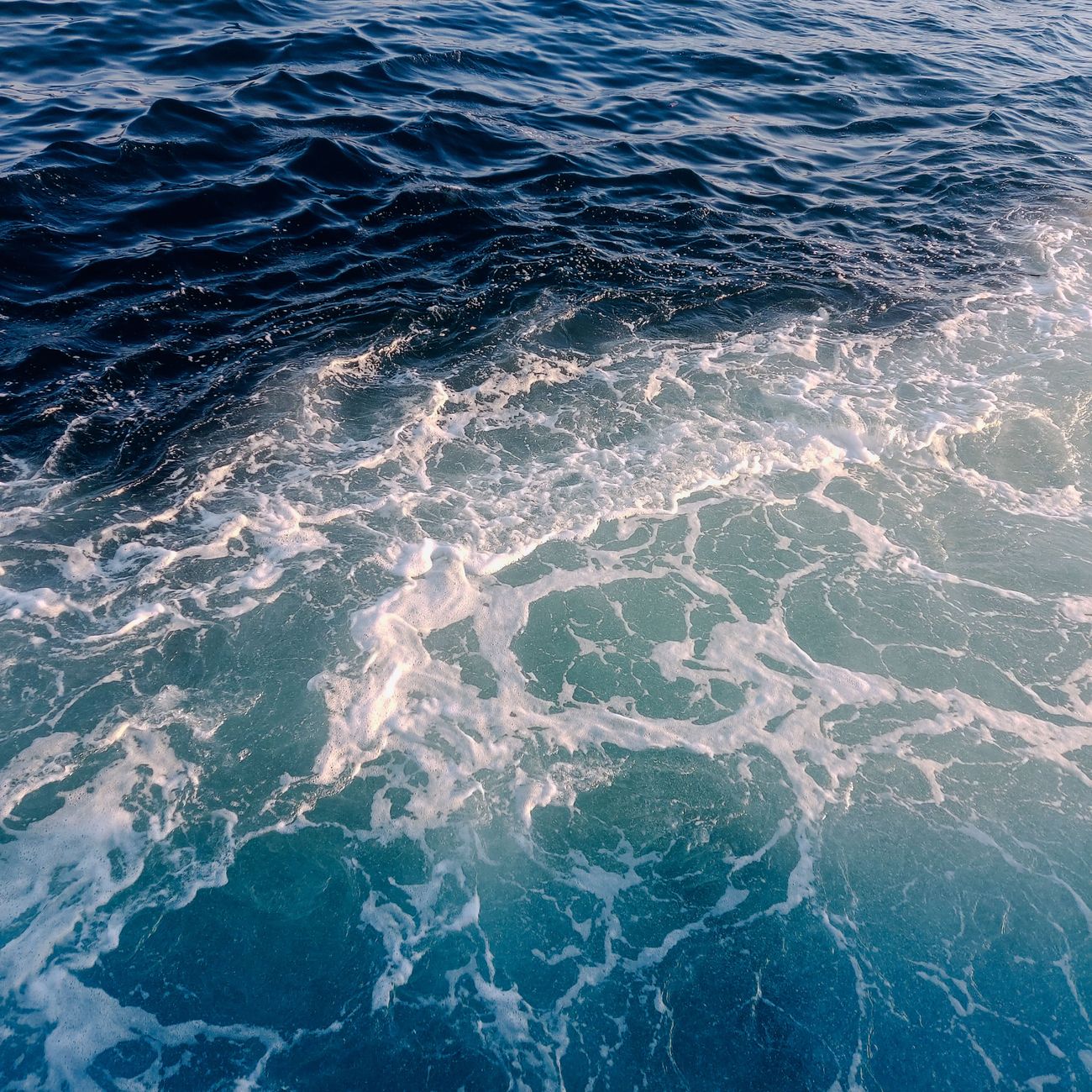Subsea Materials and Corrosion