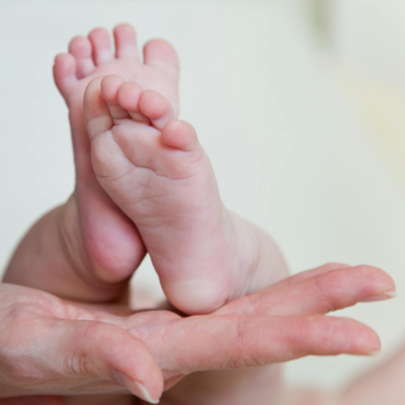 Medical Procedures in Assisted Reproduction