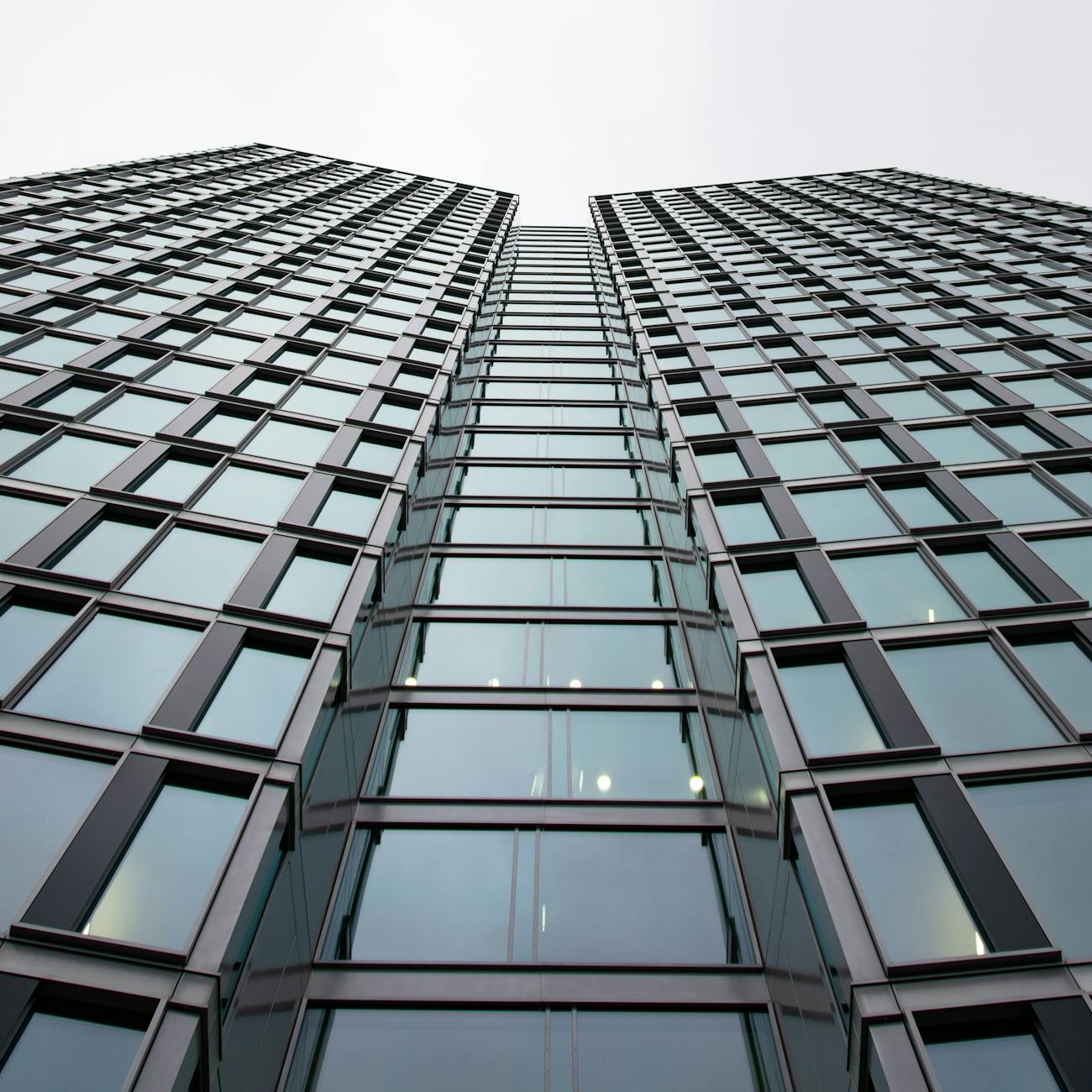 Marketing and Investor Relations