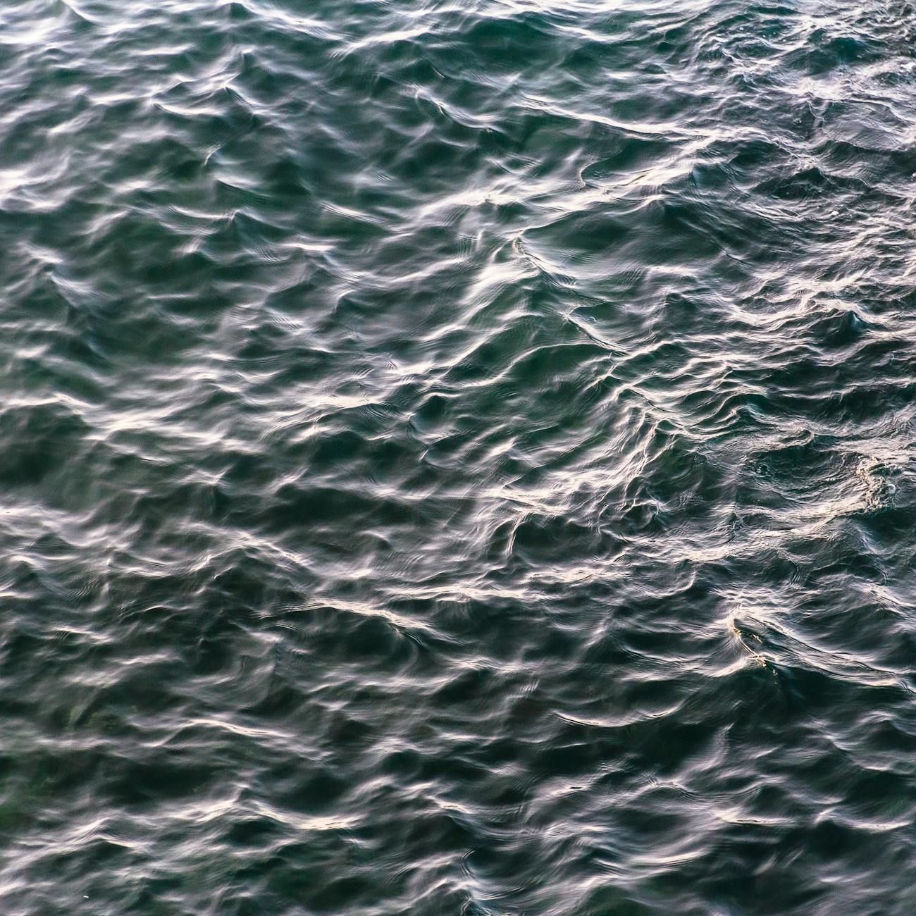 Exploring the Connection Between Water and Emotions