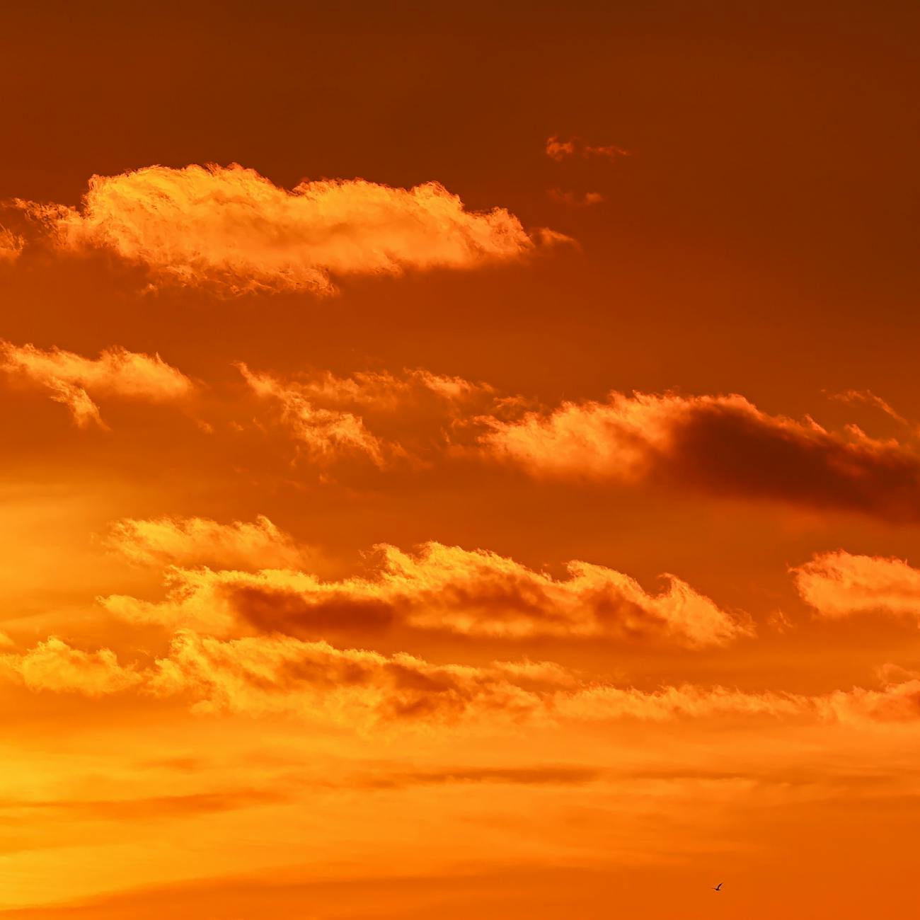 Space Weather and Environment