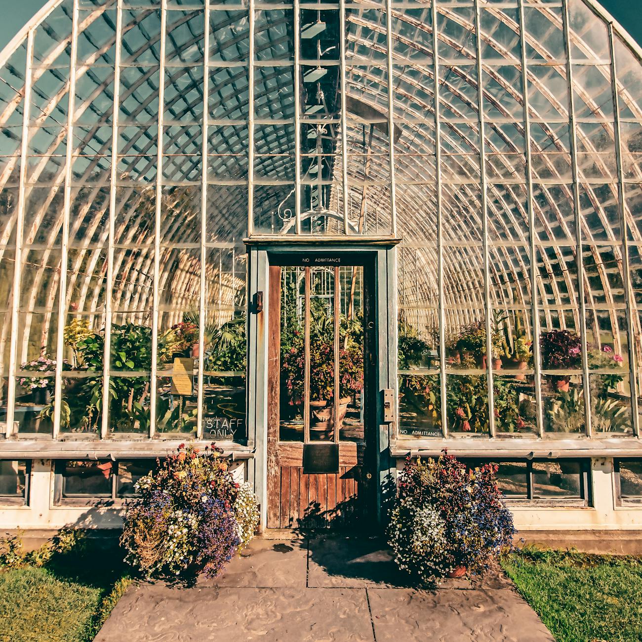 Designing for Accessibility and Inclusivity in Therapeutic Gardens