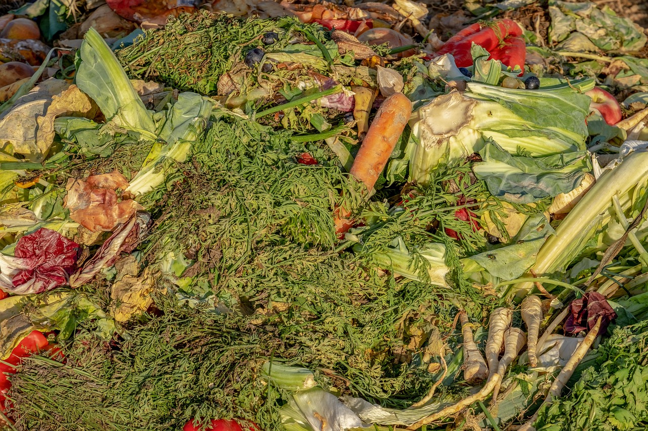 Composting Techniques