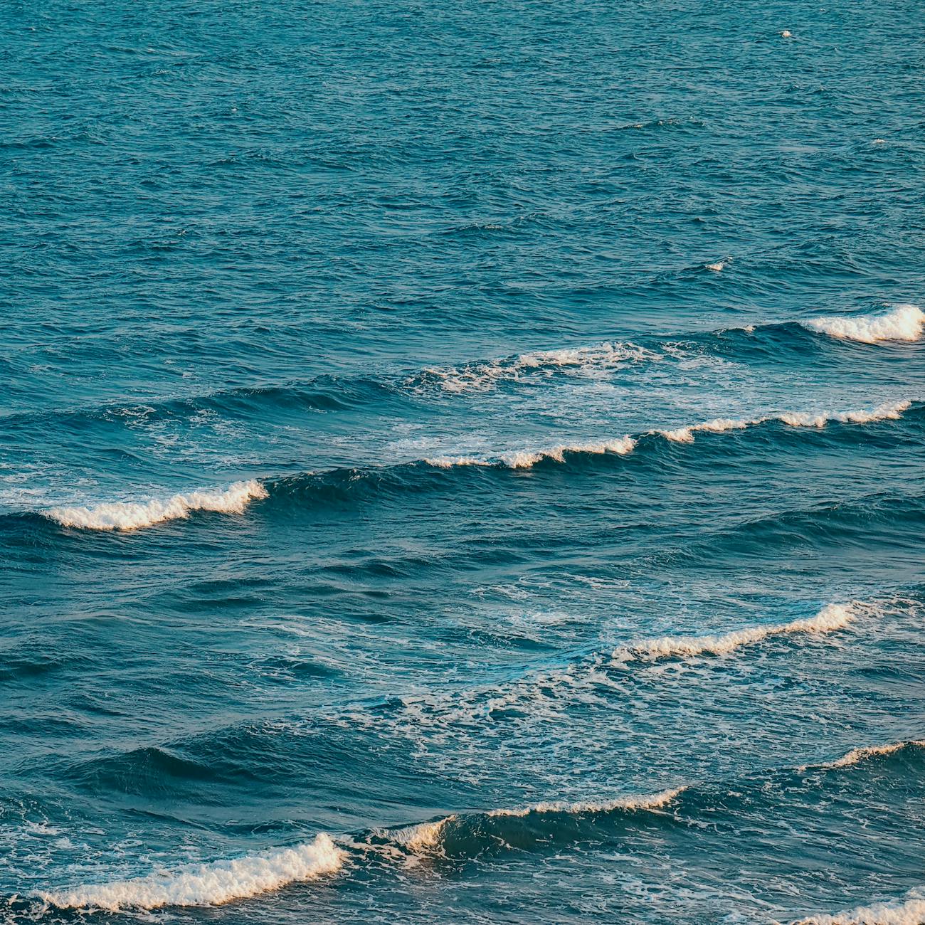 Program Development and Evaluation in Ocean Therapy