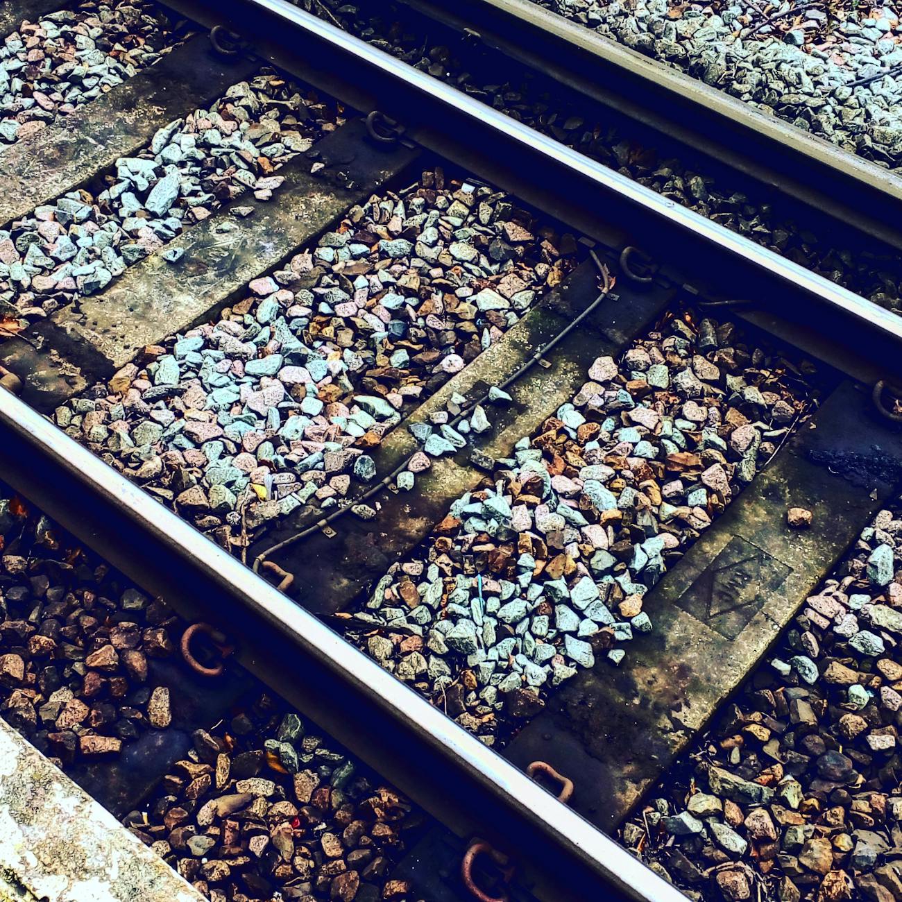 Environmental Impact Assessment for High Speed Rail