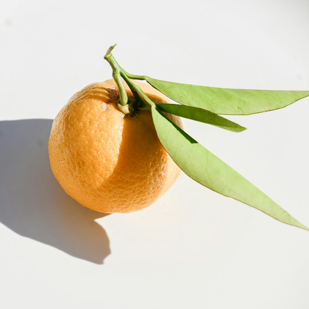 Natural Skincare Products and Ingredients