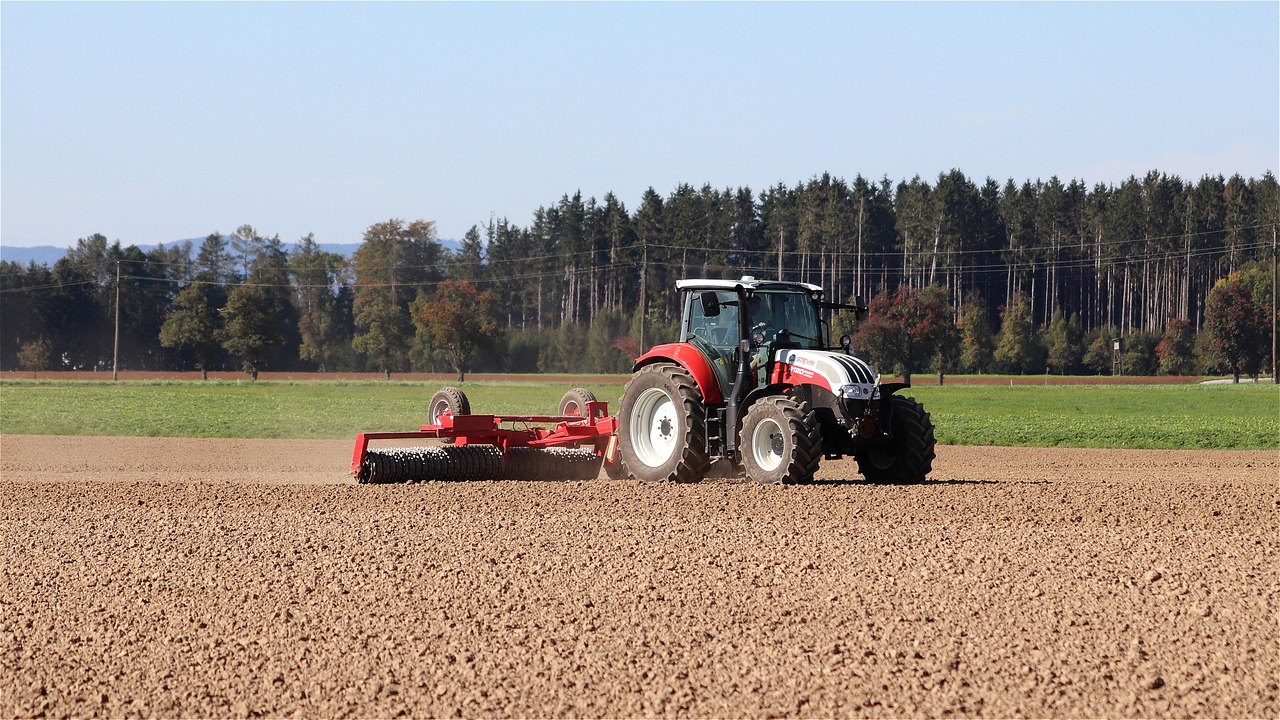 Financial Management in Agricultural Organizations