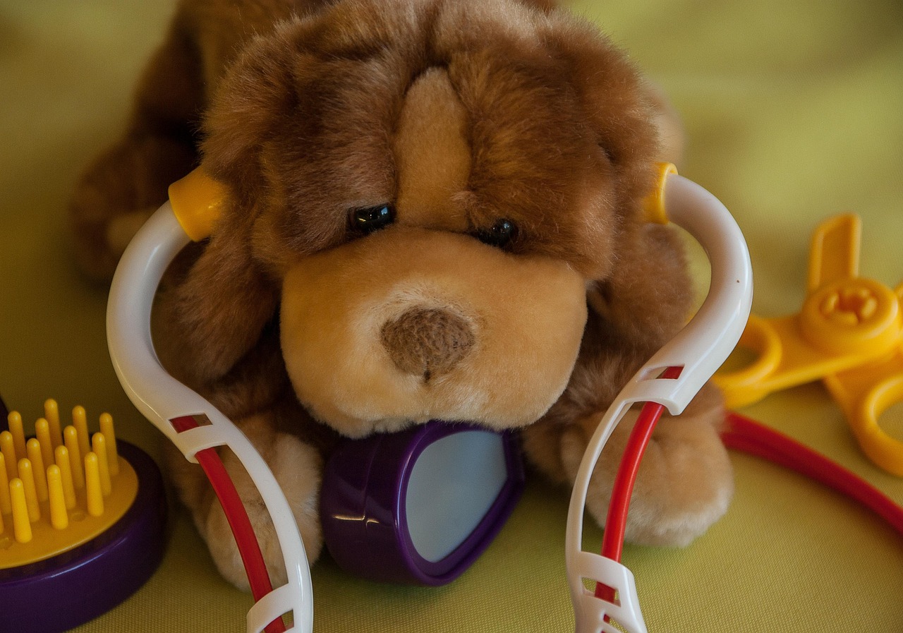 Predictive Analytics in Veterinary Care