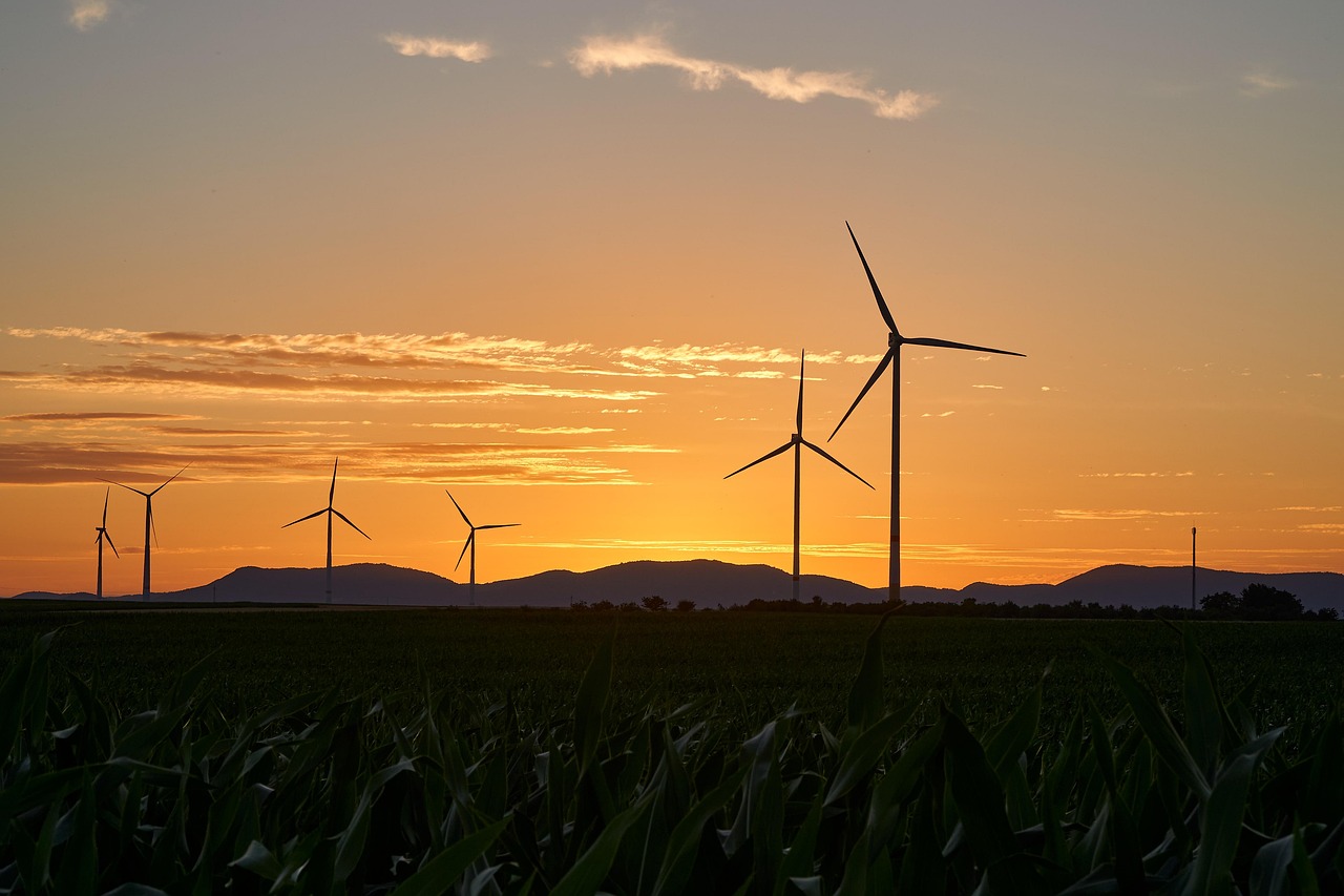 Sustainable Biofuels Supply Chains