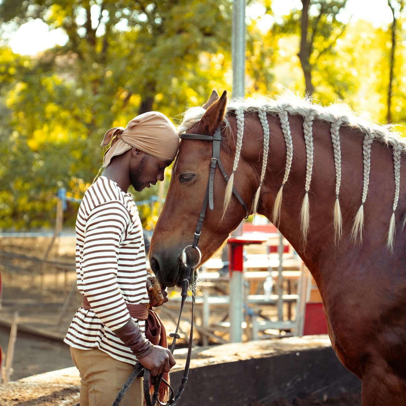 Developing Client Relationships in Equine Therapy