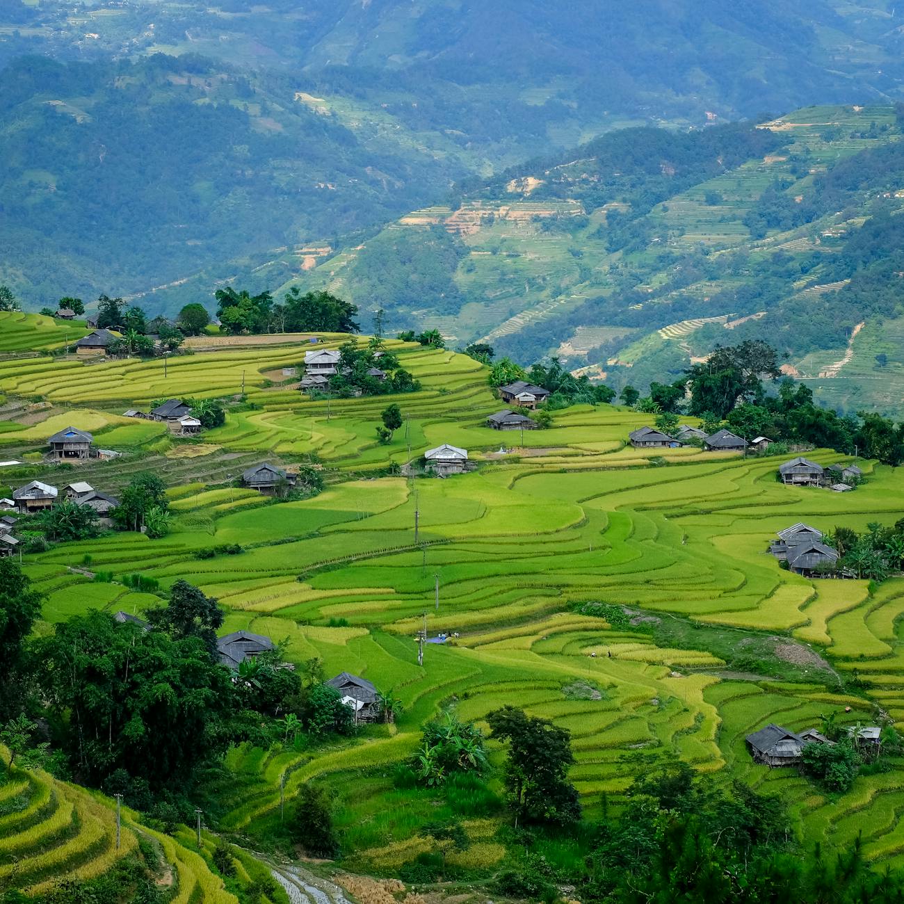 Climate Change Adaptation and Mitigation Strategies