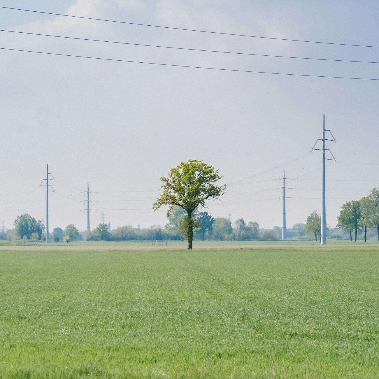 Smart Grids and Microgrids