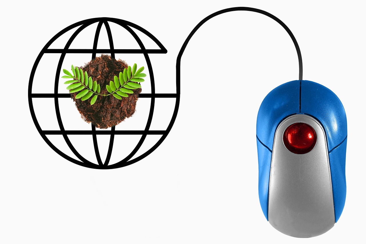 Computer Vision and Image Analysis for Environmental Sustainability