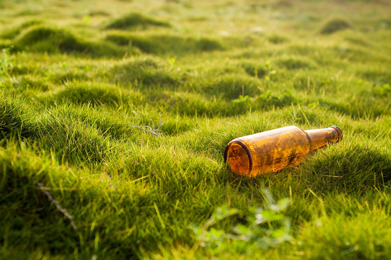 Capstone Project in AI Applications for Environmental Sustainability