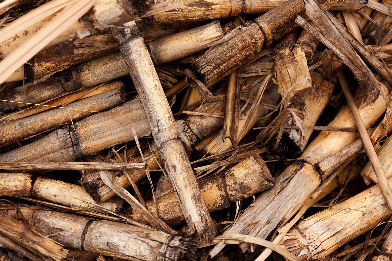 Biomass Pyrolysis Systems Analysis and Techno-Economic Assessment