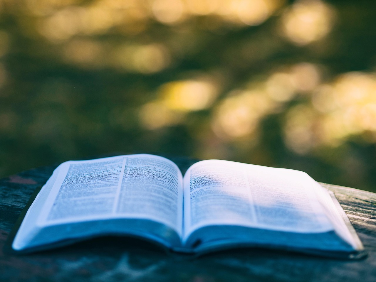 Research-Based Practices in Literacy