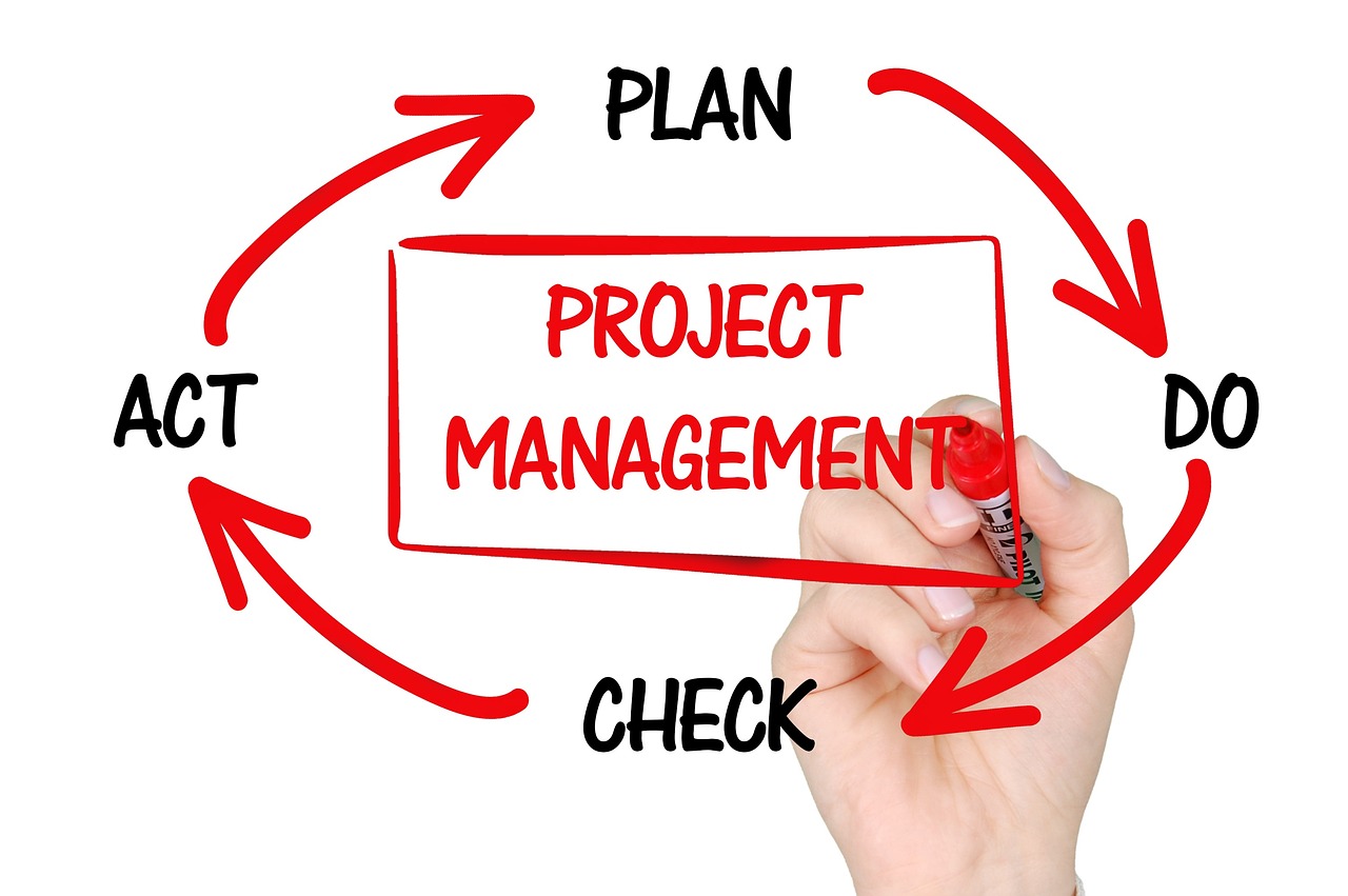 Agile Project Management for AI Development