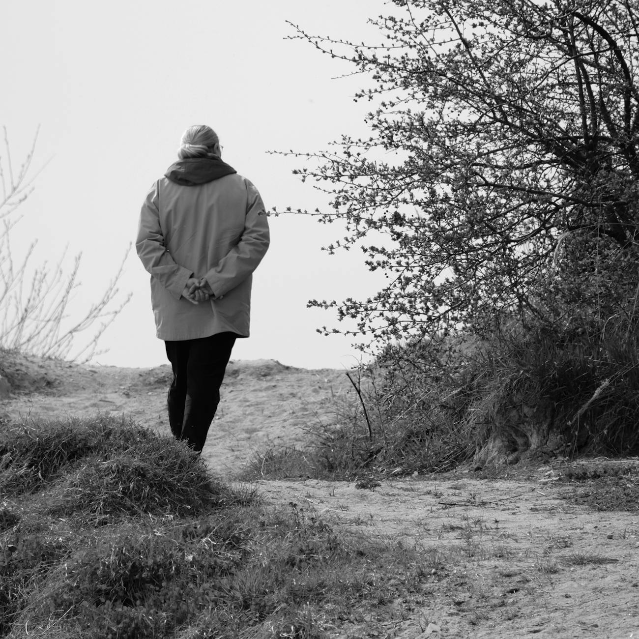 Chronic Disease Management in Geriatrics