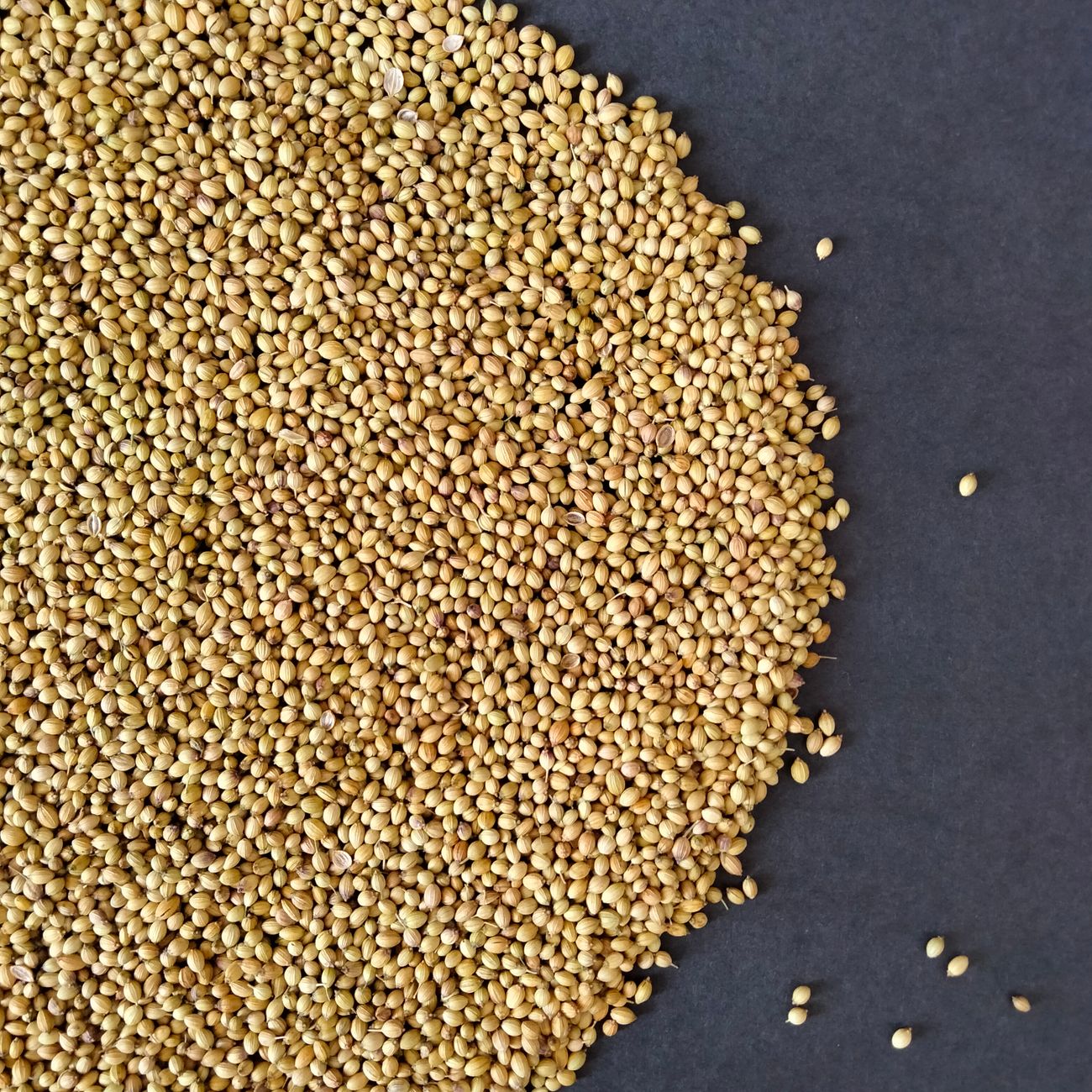 Whole Grains