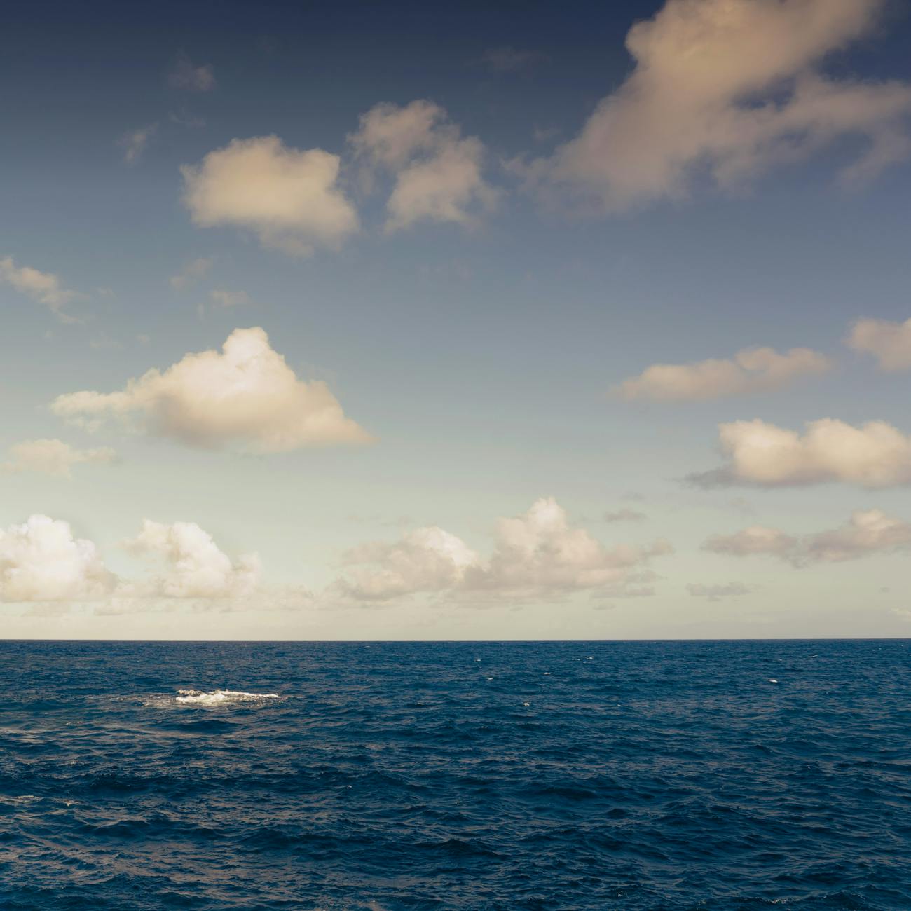 Climate Change and Ocean Acidification