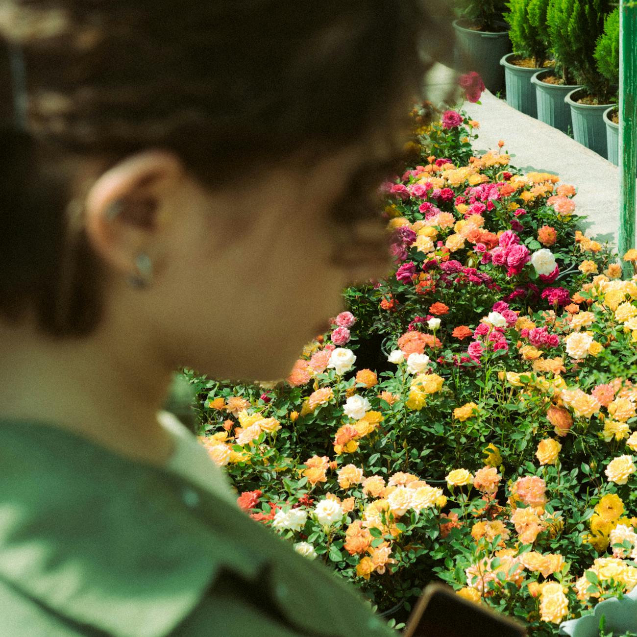 Sustainable Garden Practices for Sensory Spaces