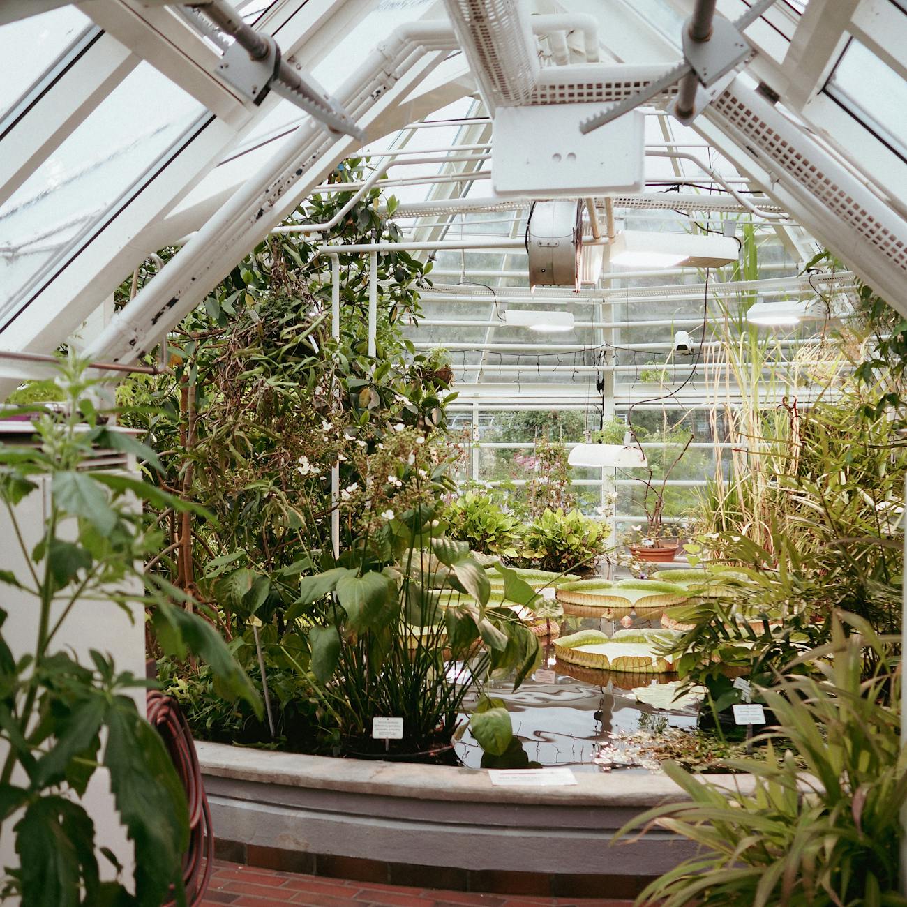 Engineering Sensory Gardens: Light