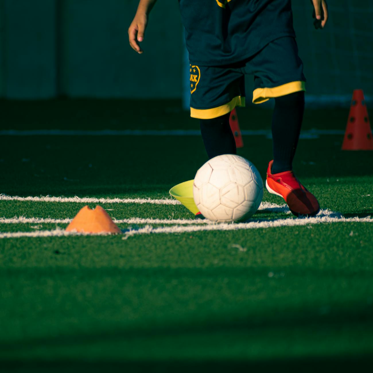 Global Sports Market and Trends