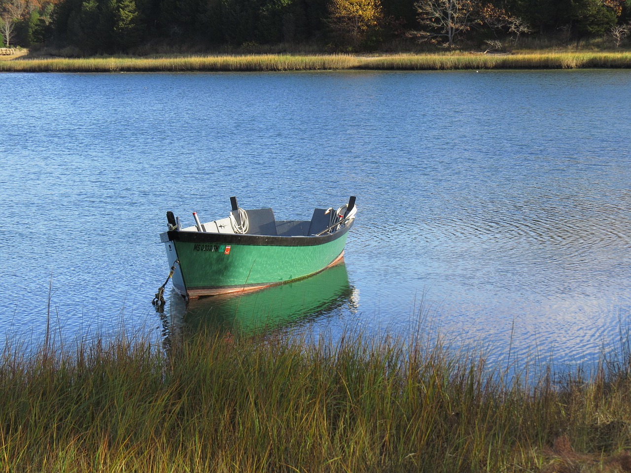 River and Estuary Modeling