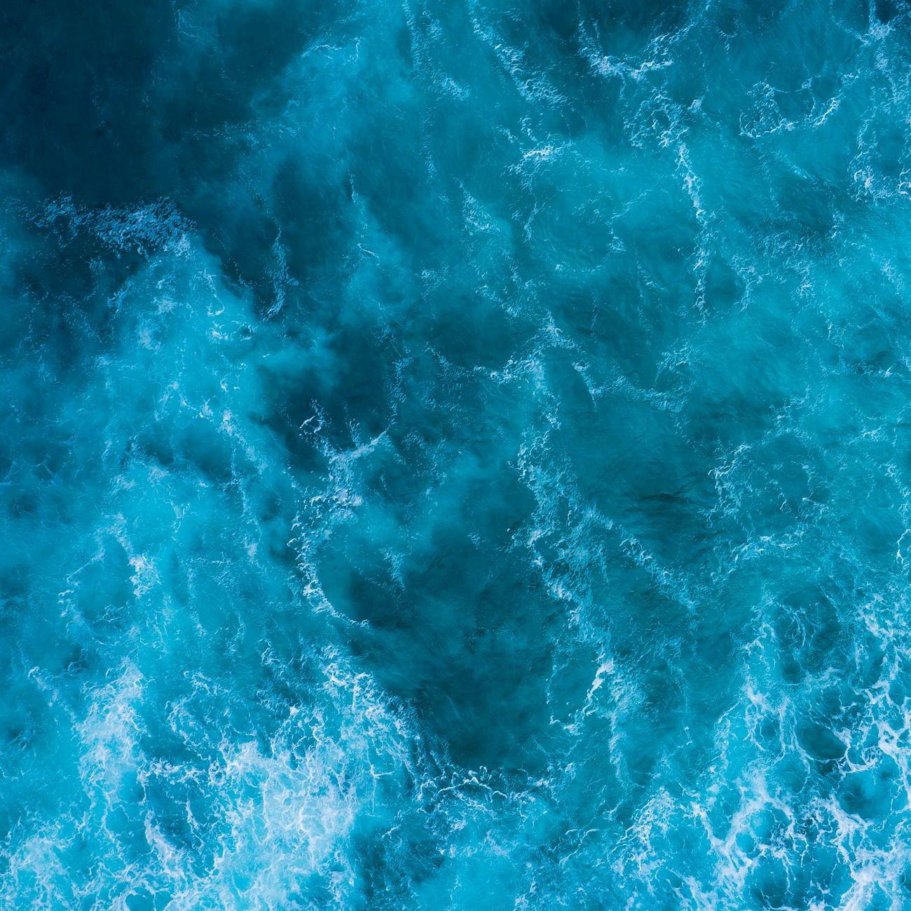 Introduction to Marine Environmental Law and Policy