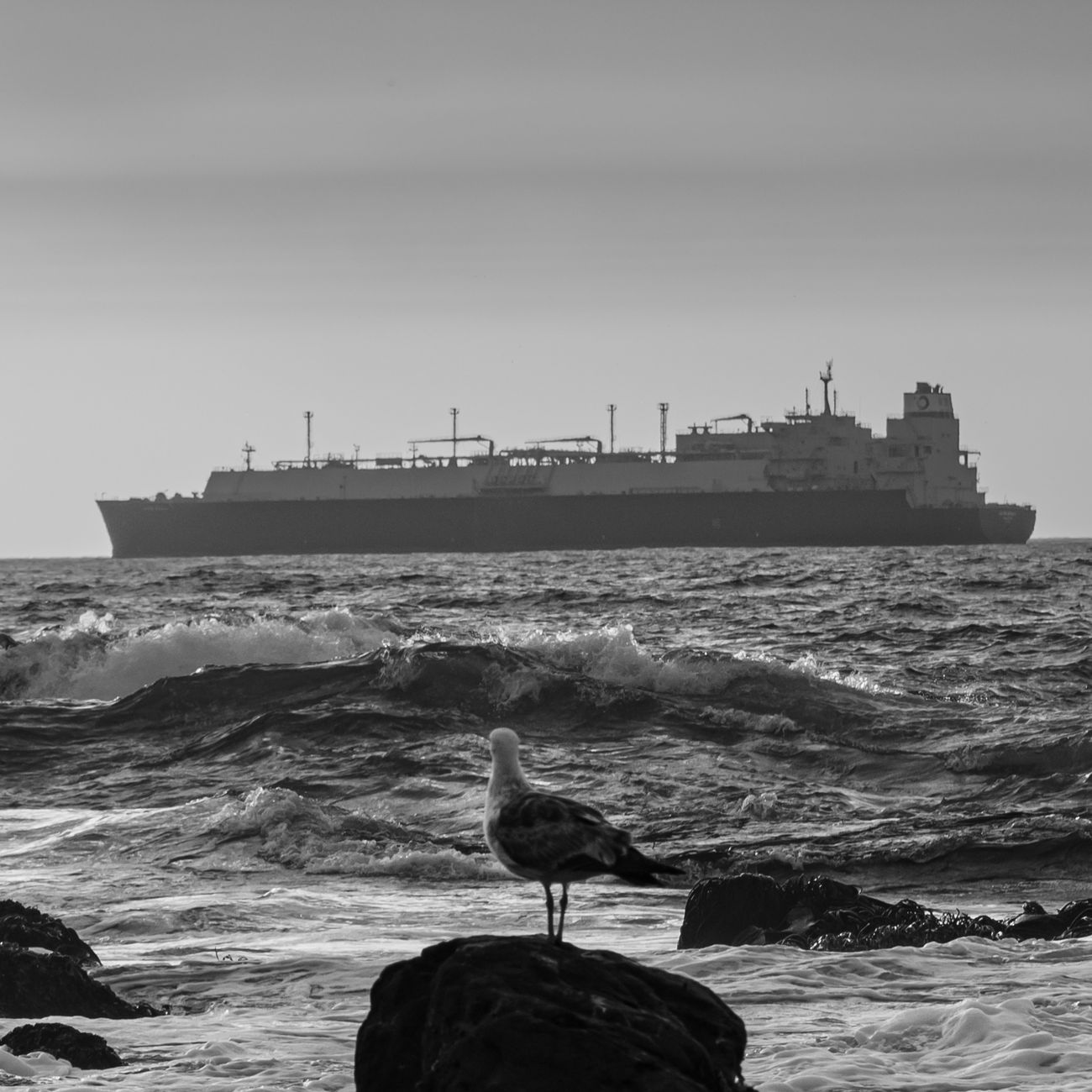 Shipping and Marine Environmental Impact Assessment