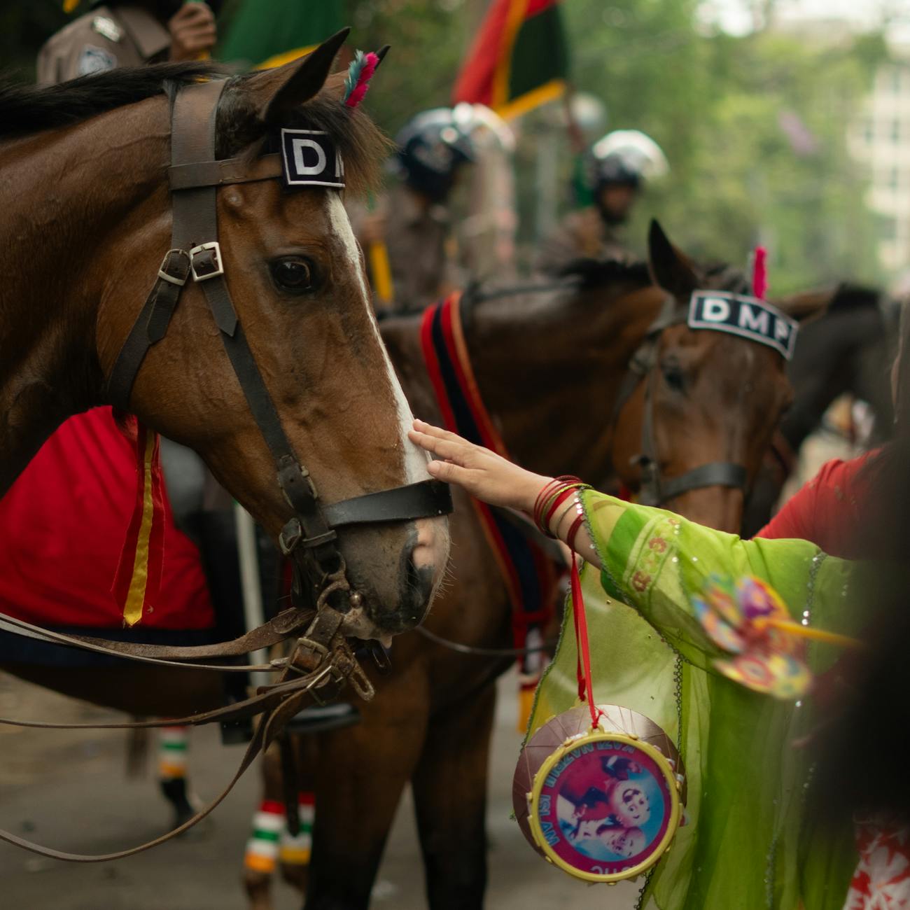 Communication Strategies in Equine Therapy