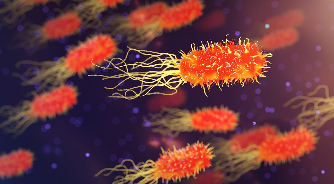 Infection Control And Prevention