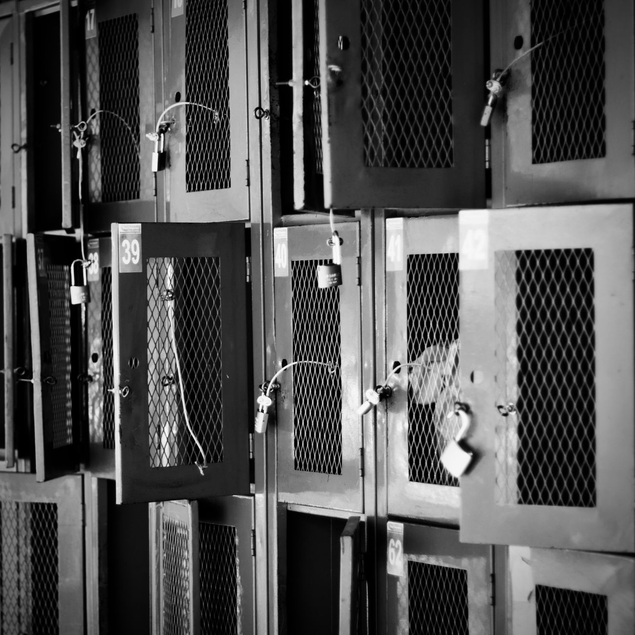 Penal Policy And Reform