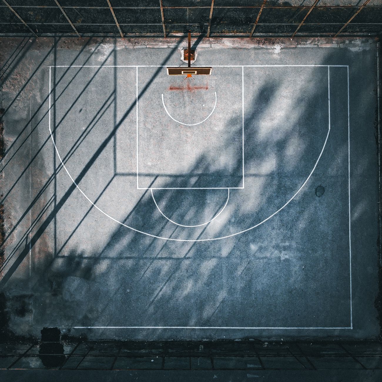 Sports Injury Management