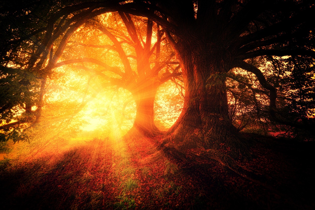 Interfaith Dialogue and Mystical Insight