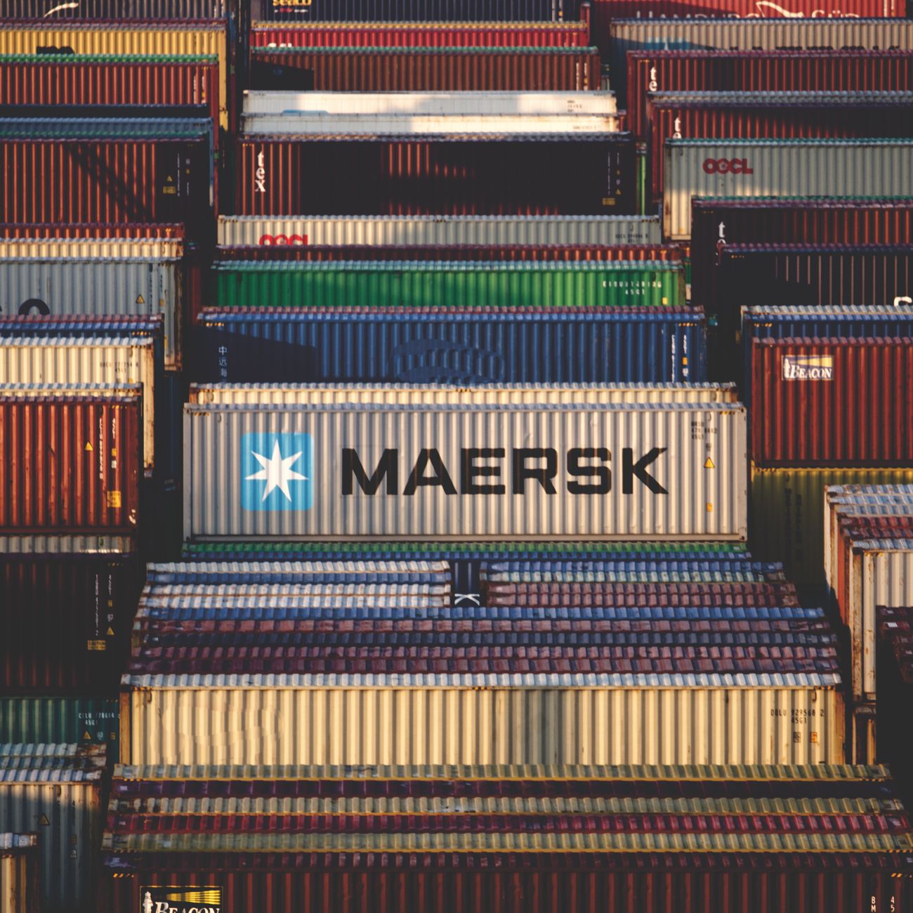 Future Trends and Innovation in Sustainable Shipping