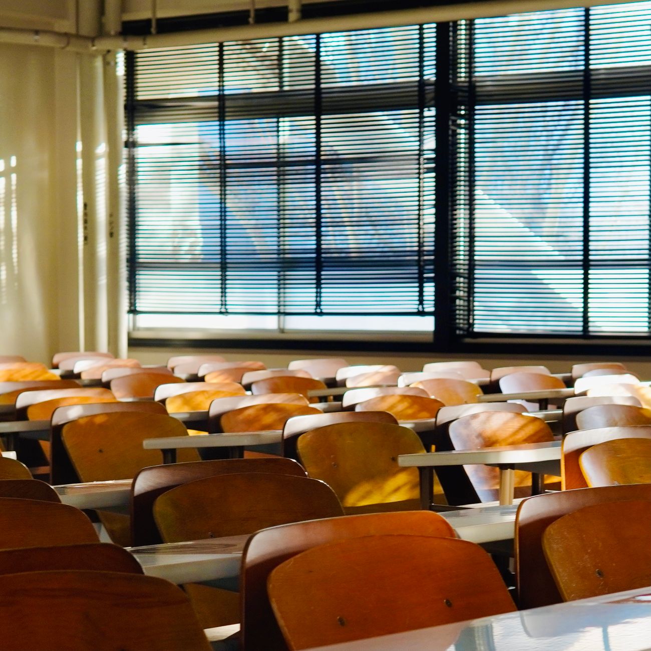 Adapting Materials for the Online Classroom