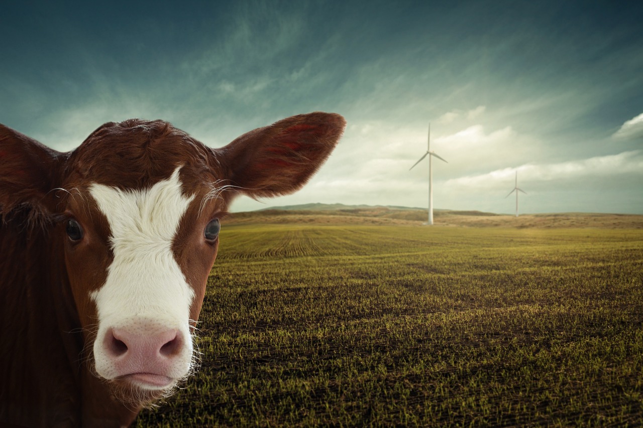 Climate Change Law and Energy Policy
