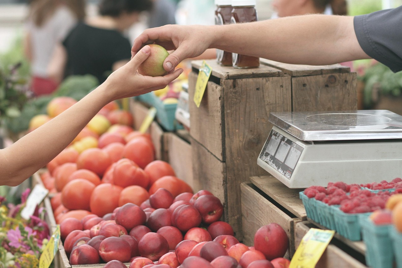 Customer Churn Prediction and Retention