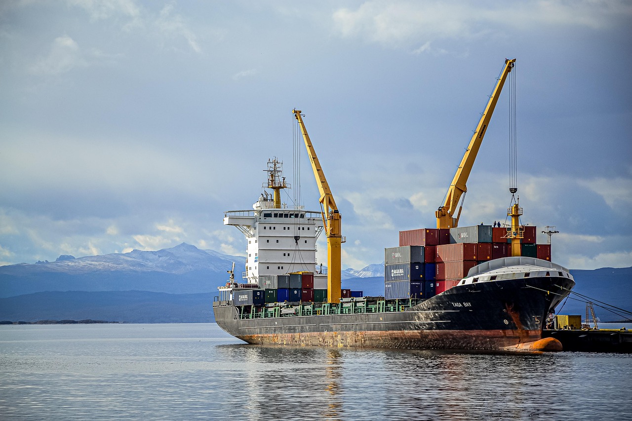 Risk Management in Cargo Operations