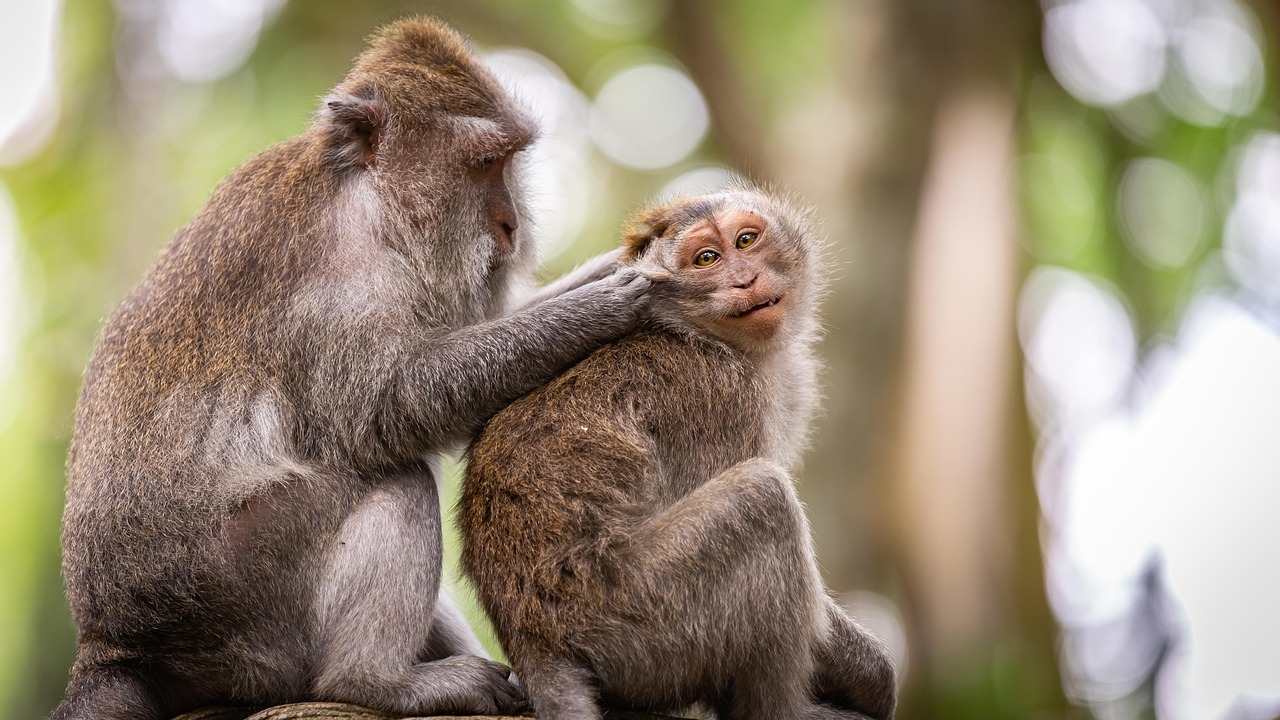 Psychophysiology of Eating Behaviors