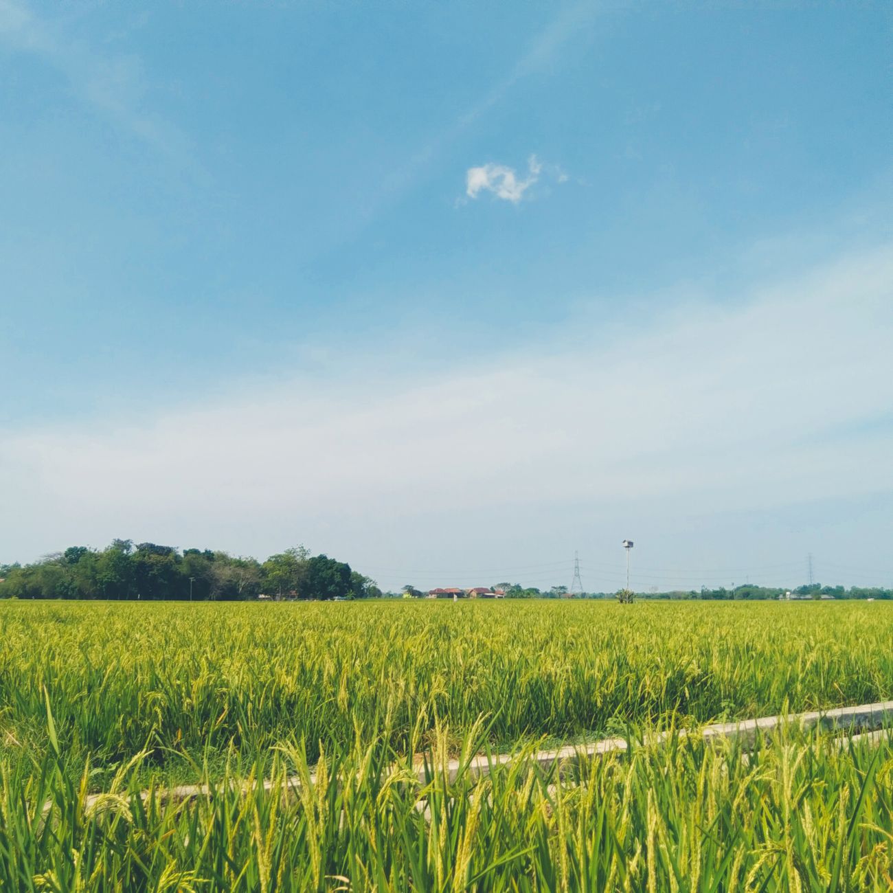 Environmental Factors Influencing Pathogen Survival
